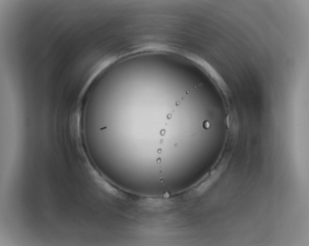 X0000113910910200909241507