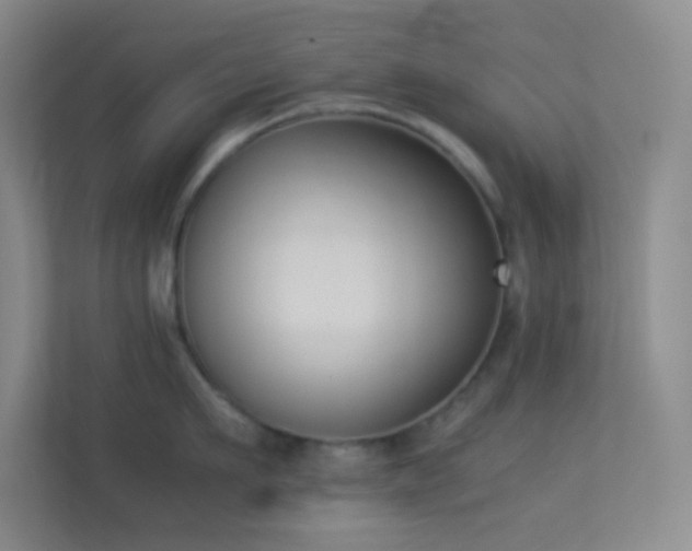 X0000113910911200909241507