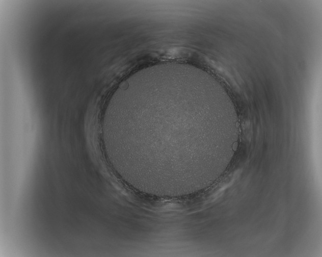 X0000113910913200909241506