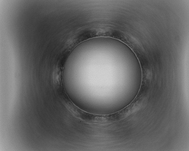 X0000113910914200909241506