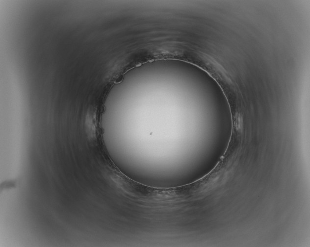 X0000113910915200909241506