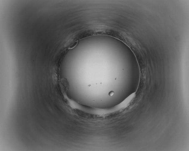 X0000113910916200909241506