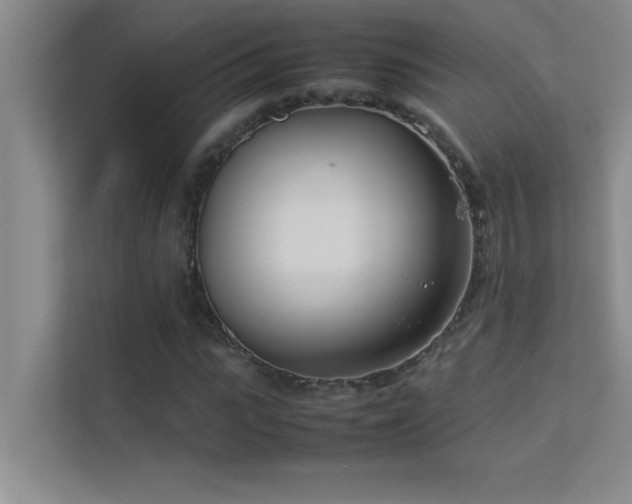 X0000113910919200909241506