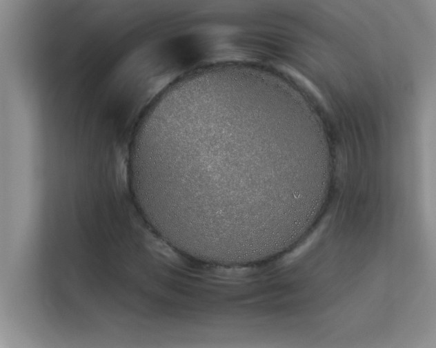 X0000113910921200909241506