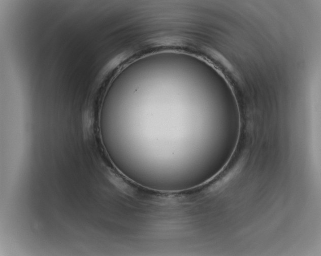 X0000113910922200909241506