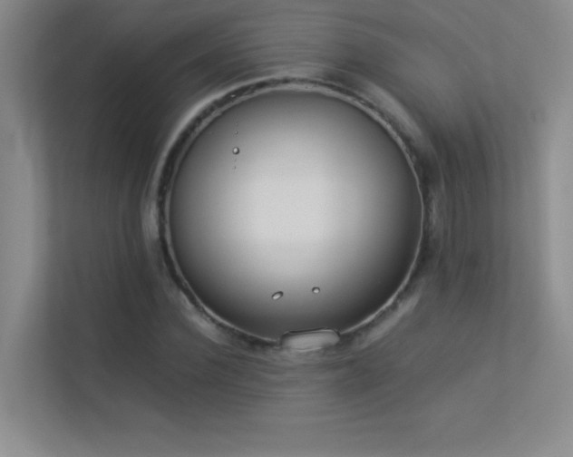 X0000113910924200909241506