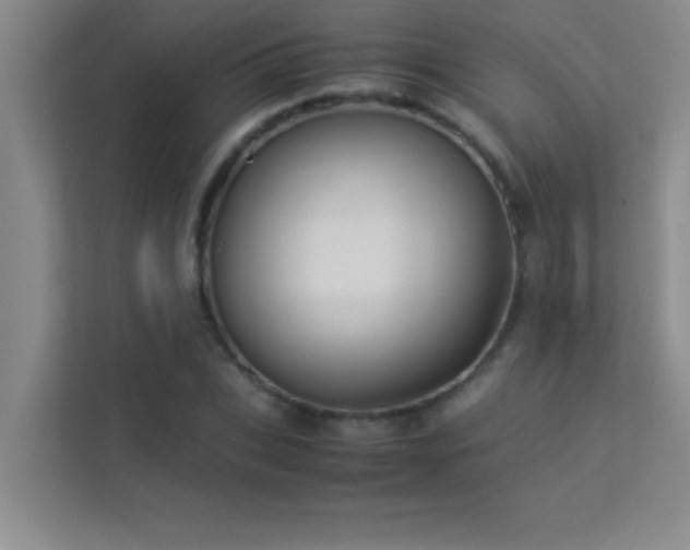 X0000113910927200909241506