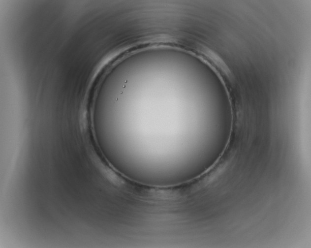 X0000113910928200909241506