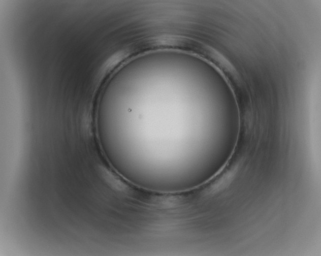X0000113910930200909241506