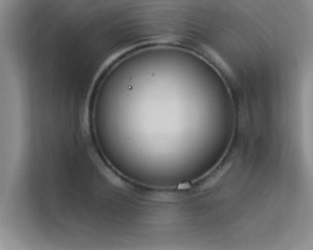 X0000113910932200909241506