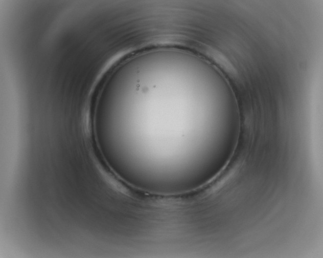 X0000113910934200909241506