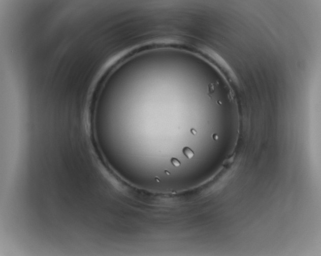 X0000113910935200909241506