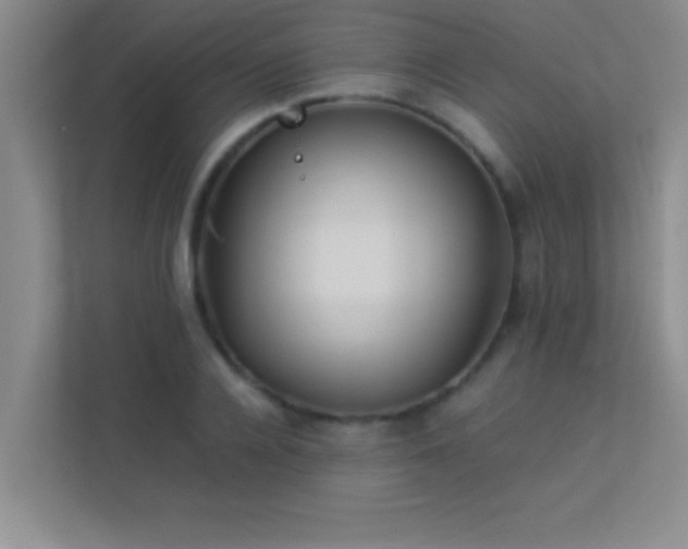 X0000113910936200909241506