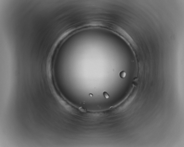 X0000113910939200909241507