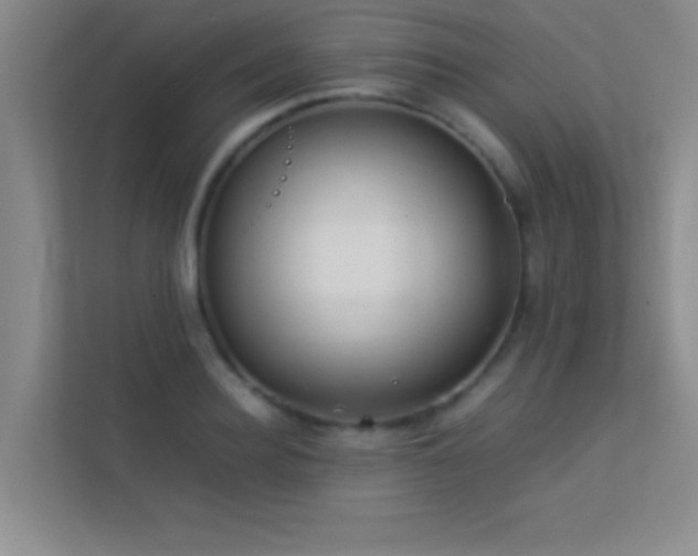 X0000113910940200909241507