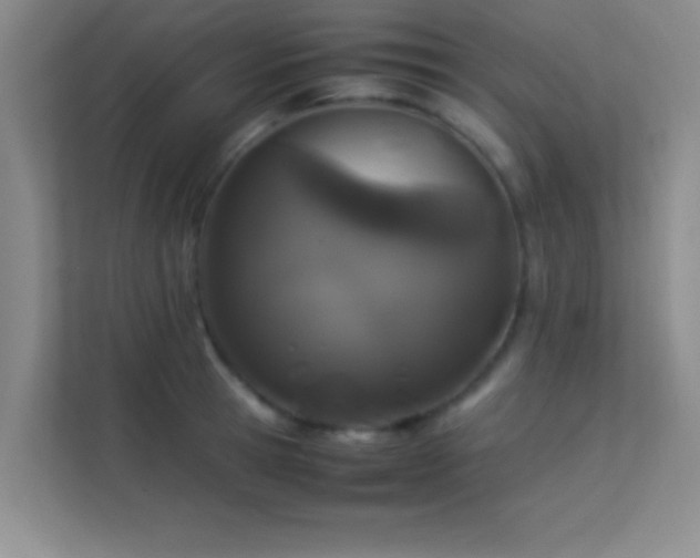 X0000113910945200909241507