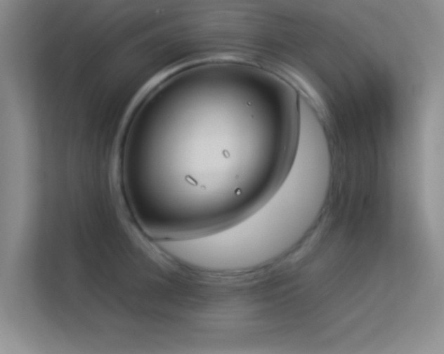 X0000113910948200909241507