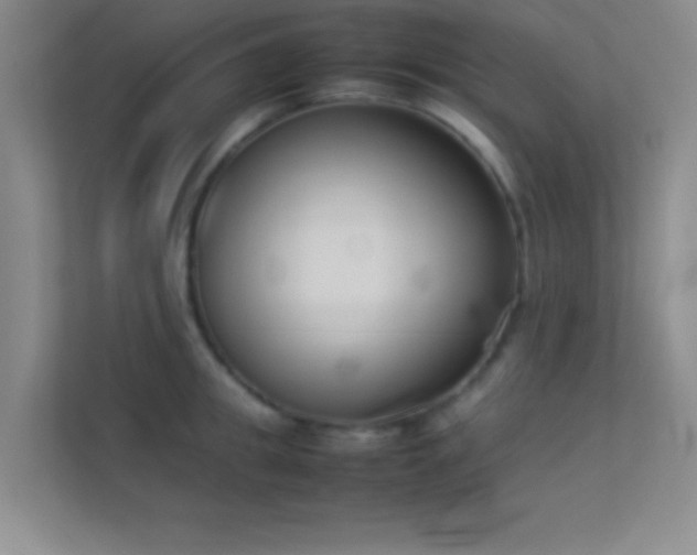 X0000113910949200909241507