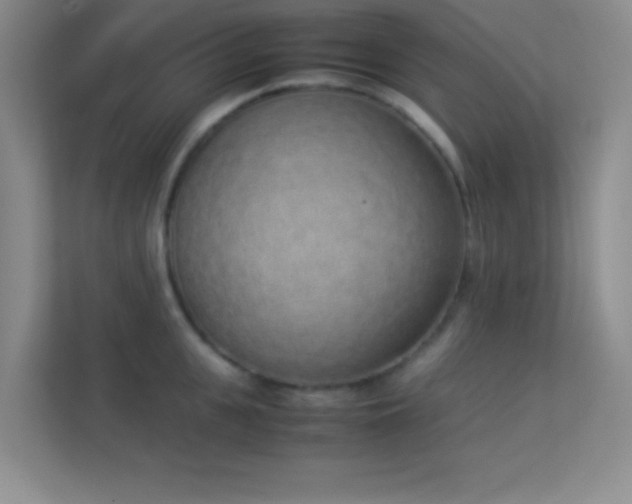 X0000113910951200909241507