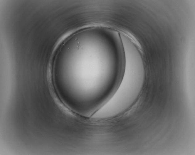 X0000113910952200909241507