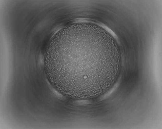 X0000113910953200909241507