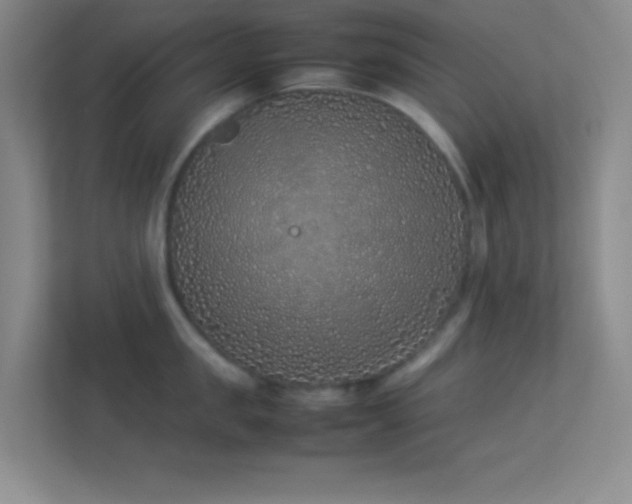 X0000113910957200909241507