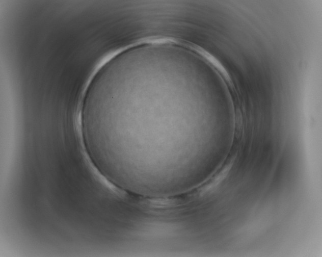 X0000113910959200909241507