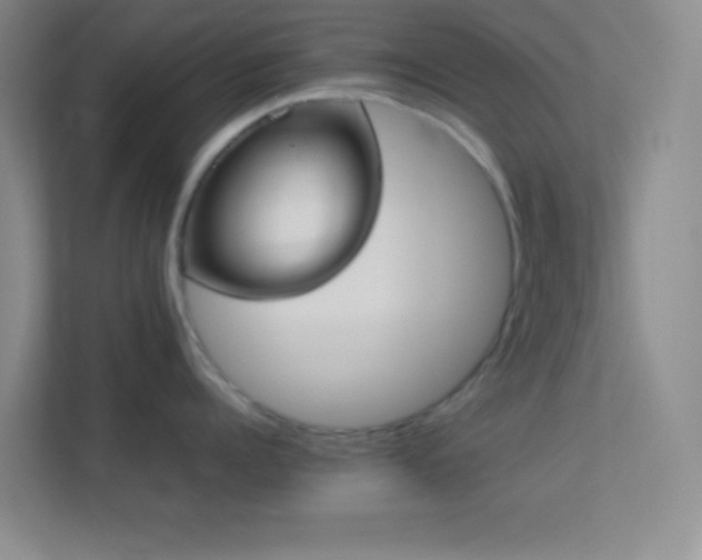 X0000113910960200909241507