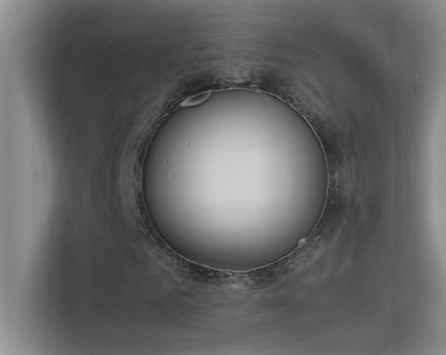 X0000113910961200909241506
