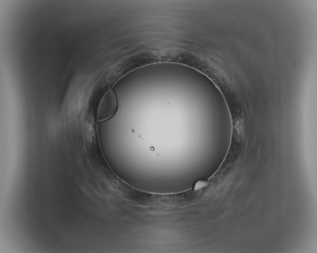 X0000113910963200909241506