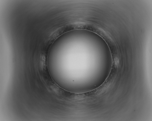 X0000113910964200909241506