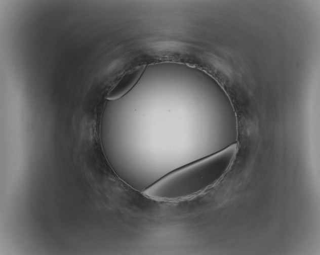 X0000113910965200909241506