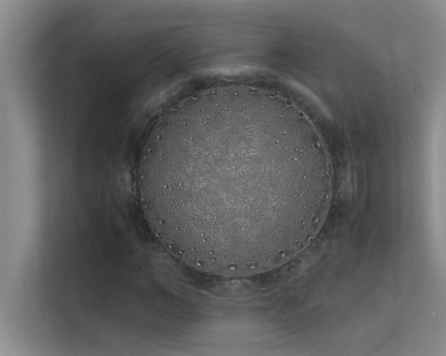 X0000113910966200909241506
