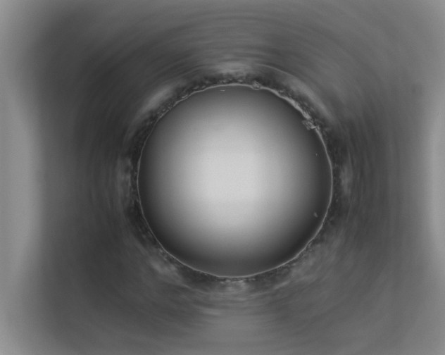 X0000113910968200909241506
