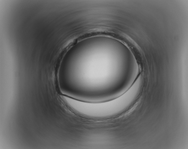 X0000113910969200909241506