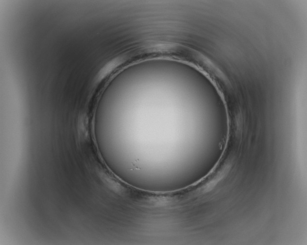 X0000113910970200909241506