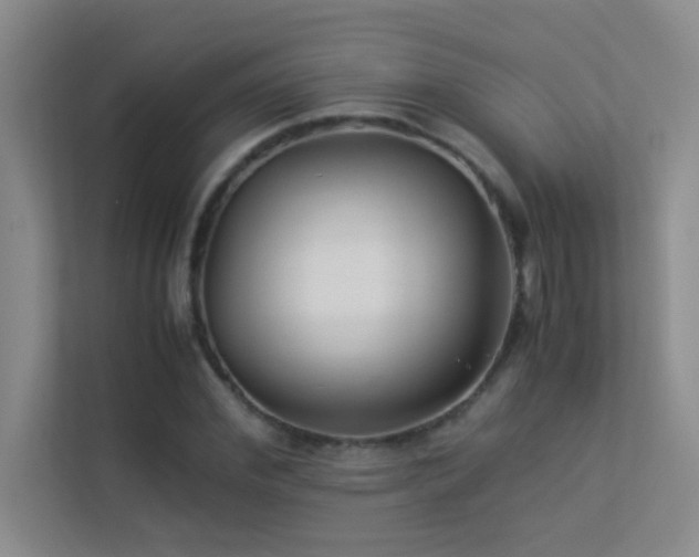 X0000113910972200909241506
