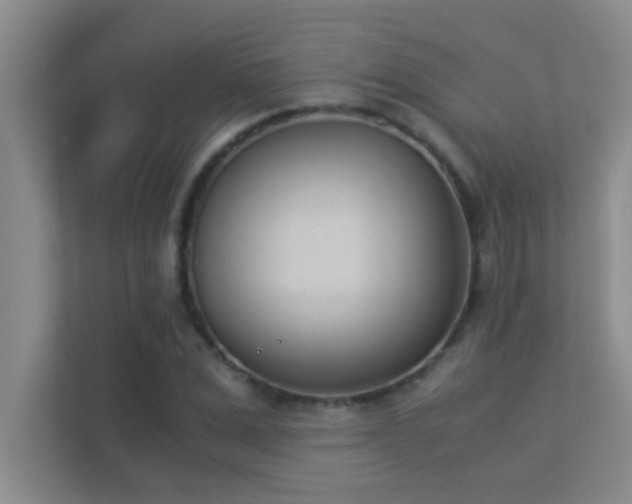 X0000113910975200909241506