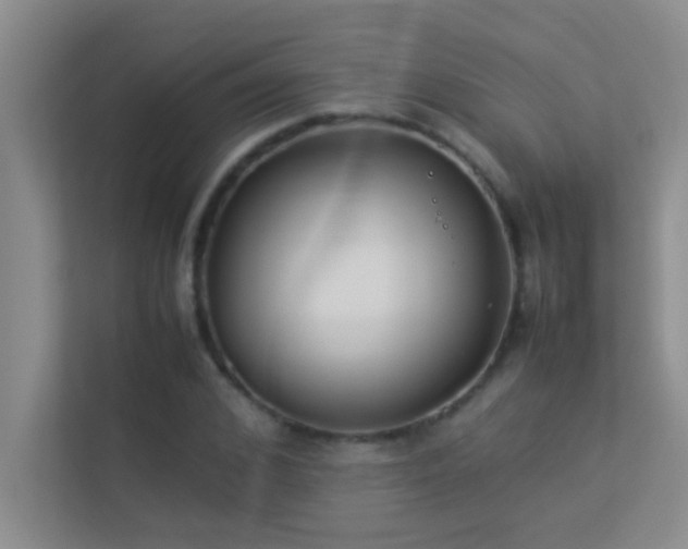 X0000113910976200909241506