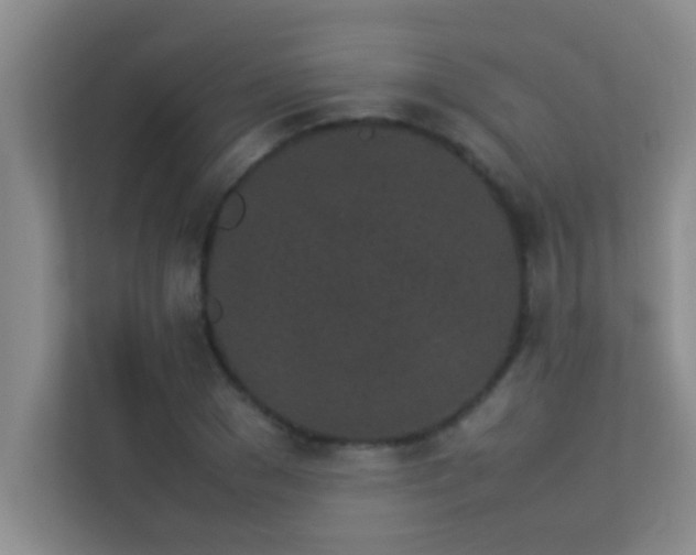 X0000113910977200909241506