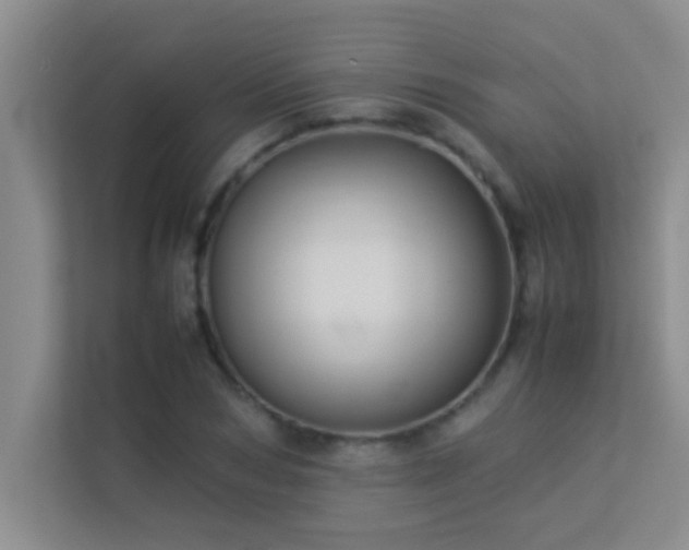 X0000113910978200909241506