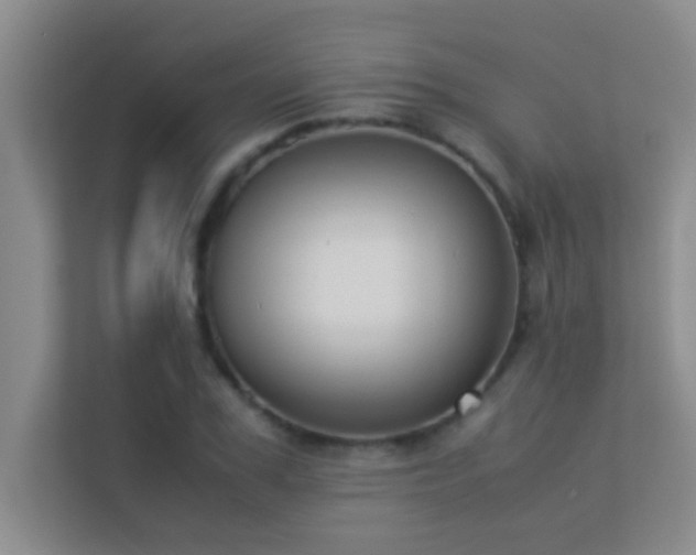 X0000113910979200909241506
