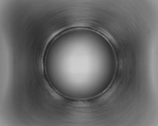 X0000113910980200909241506