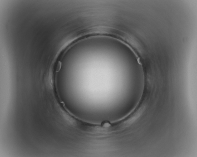 X0000113910981200909241506