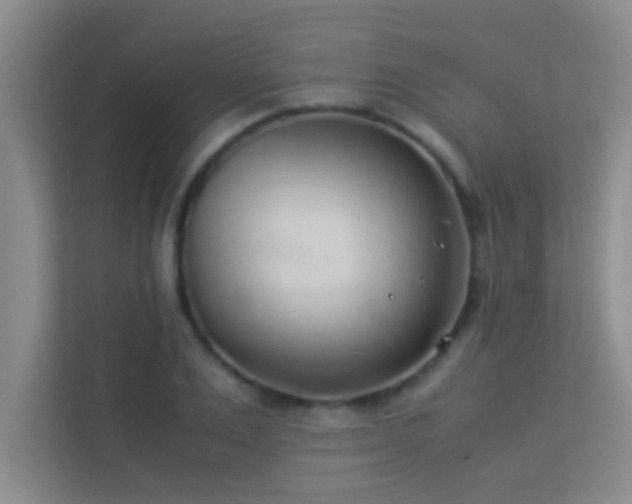 X0000113910983200909241506