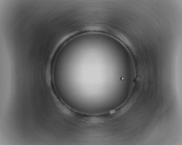 X0000113910984200909241506