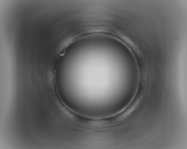 X0000113910985200909241506