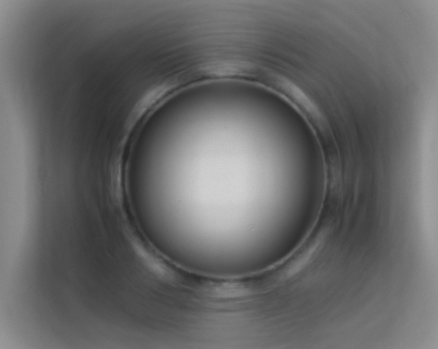 X0000113910986200909241506