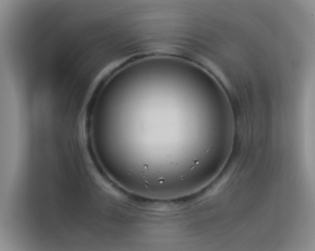 X0000113910987200909241506