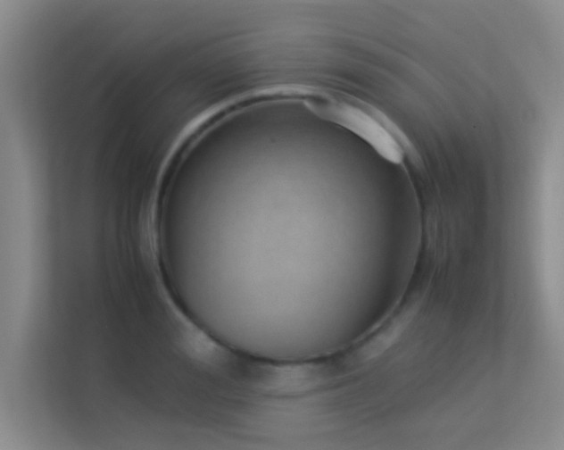 X0000113910988200909241506